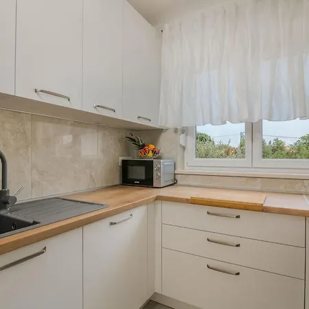 Villa Lusarci Comfortable Zgaljic